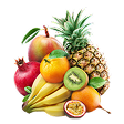 Fruits