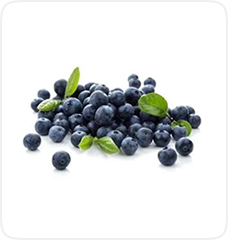 Fresh Blueberry